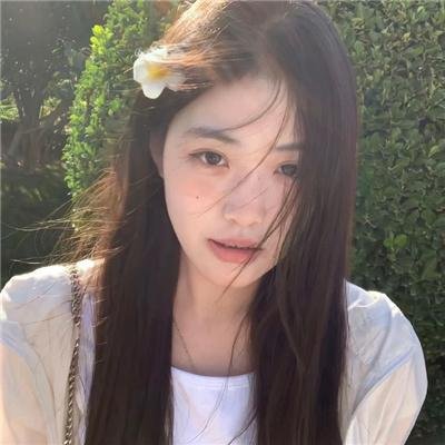 黄金花 高清封面