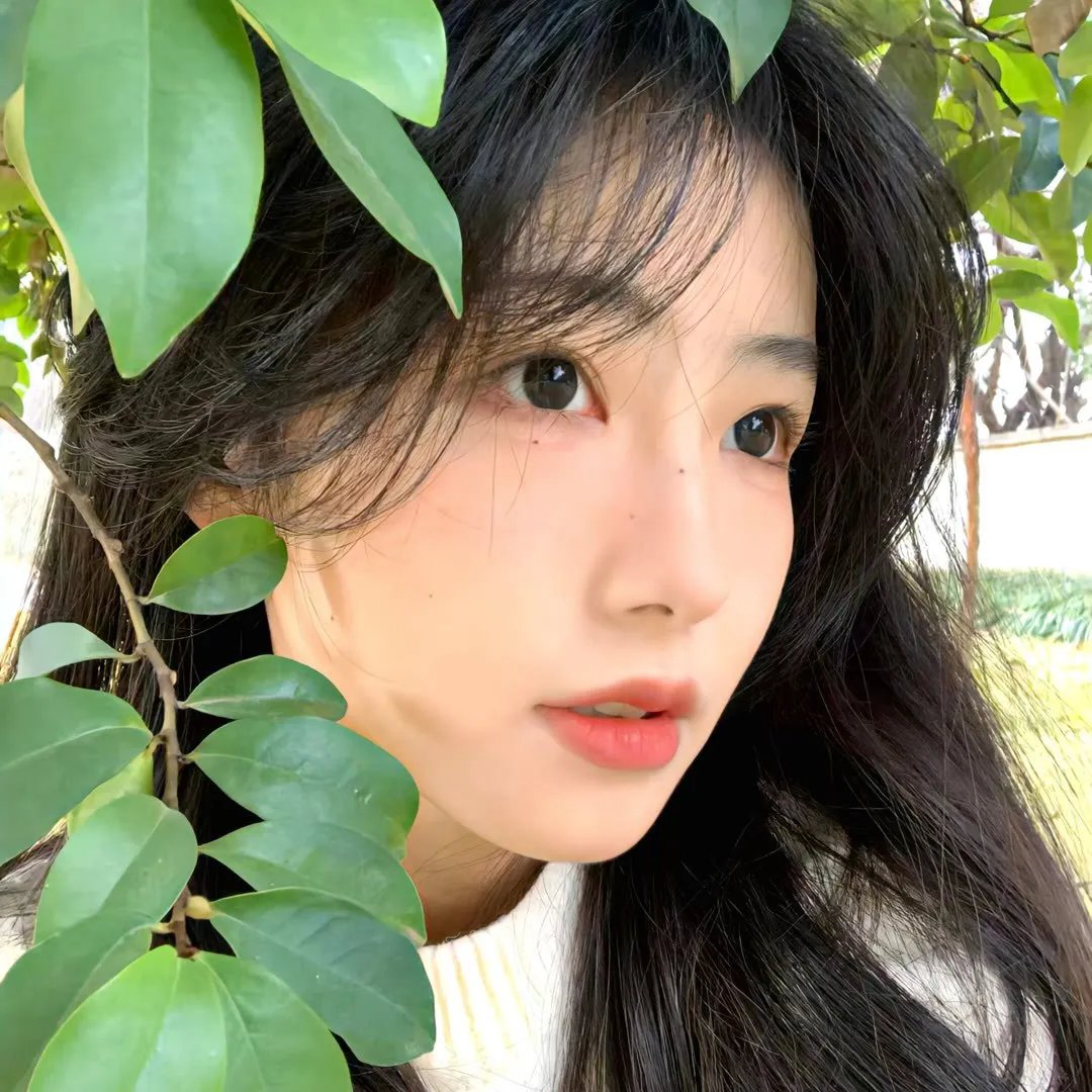 恋爱前辈说 高清封面